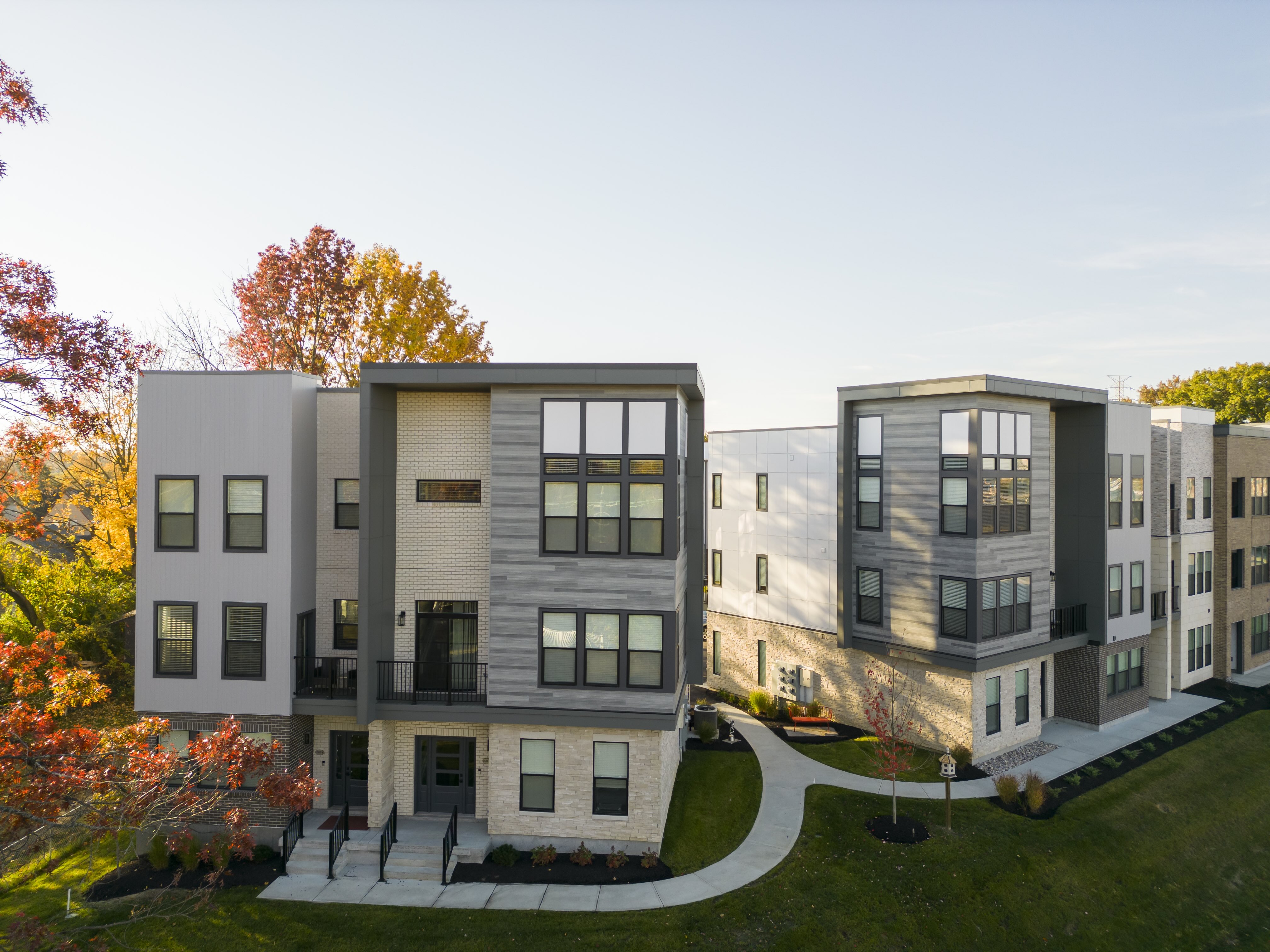 Diftwood and Silver Lining